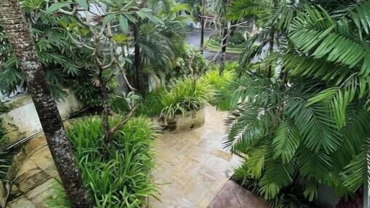 Photo of Outdoor in Sawangan