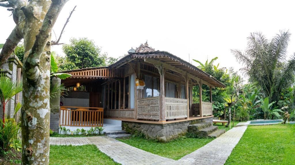 Photo of Outdoor in Taro