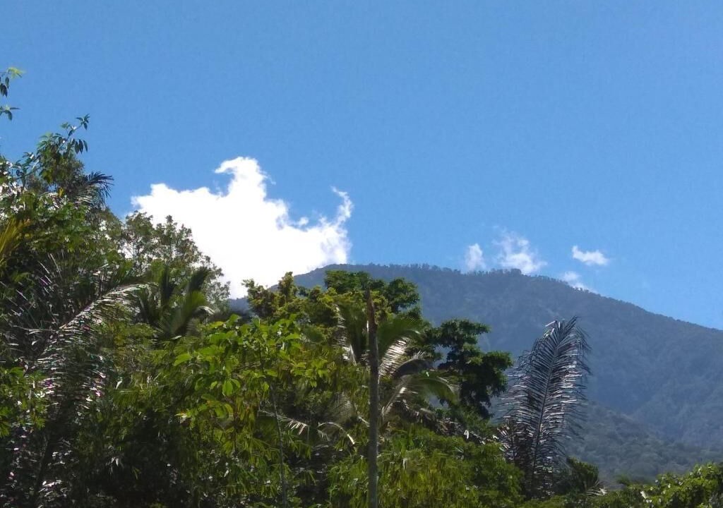 Photo of Others in Selemadeg