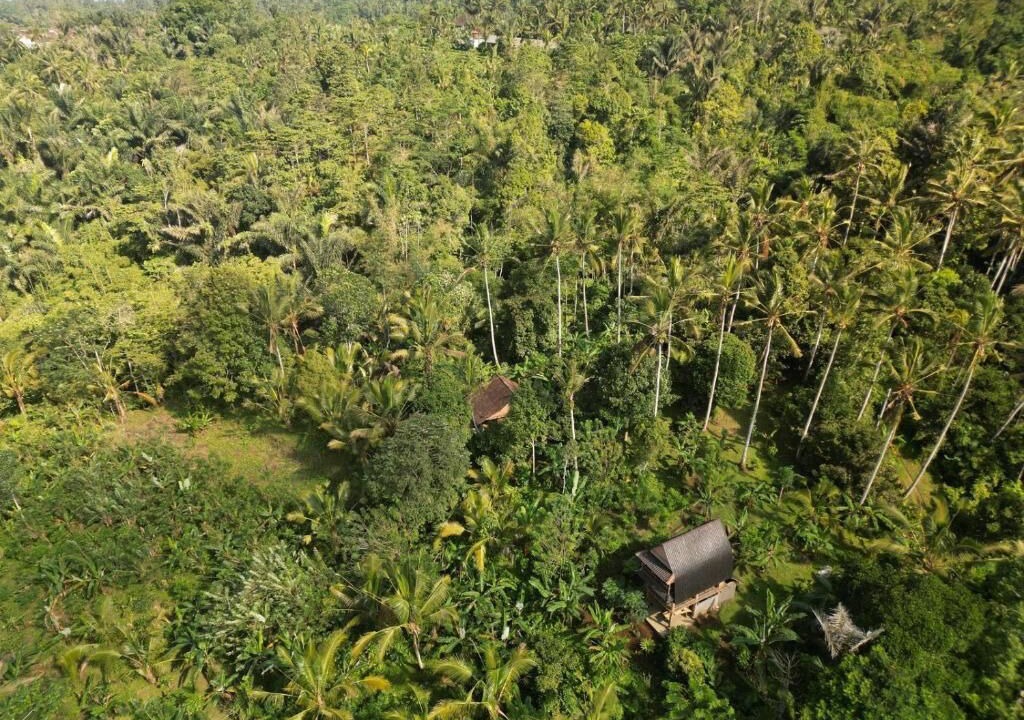 Photo of Outdoor in Selemadeg