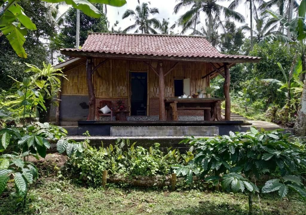 Photo of Outdoor in Selemadeg