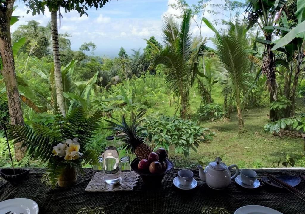 Photo of Outdoor in Selemadeg