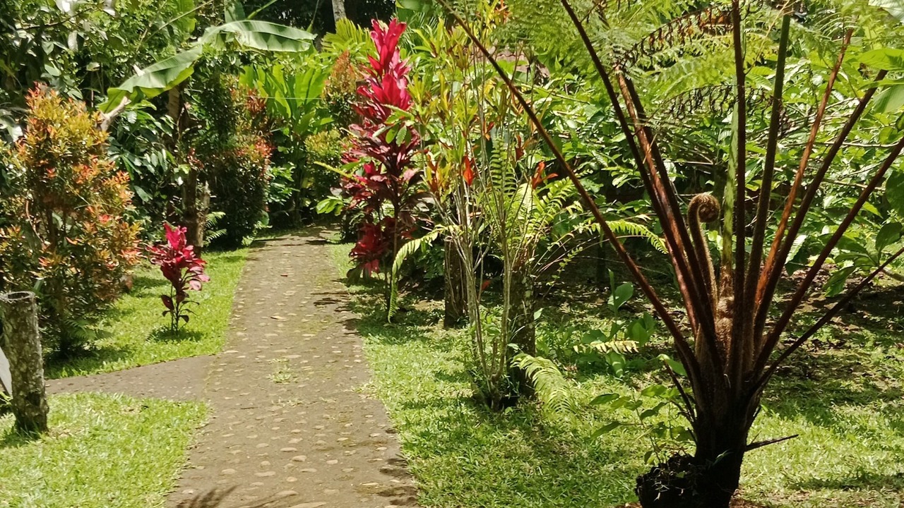 Photo of Outdoor in Selemadeg
