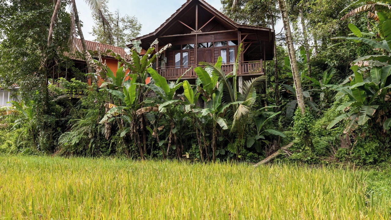 Photo of Outdoor in Payangan