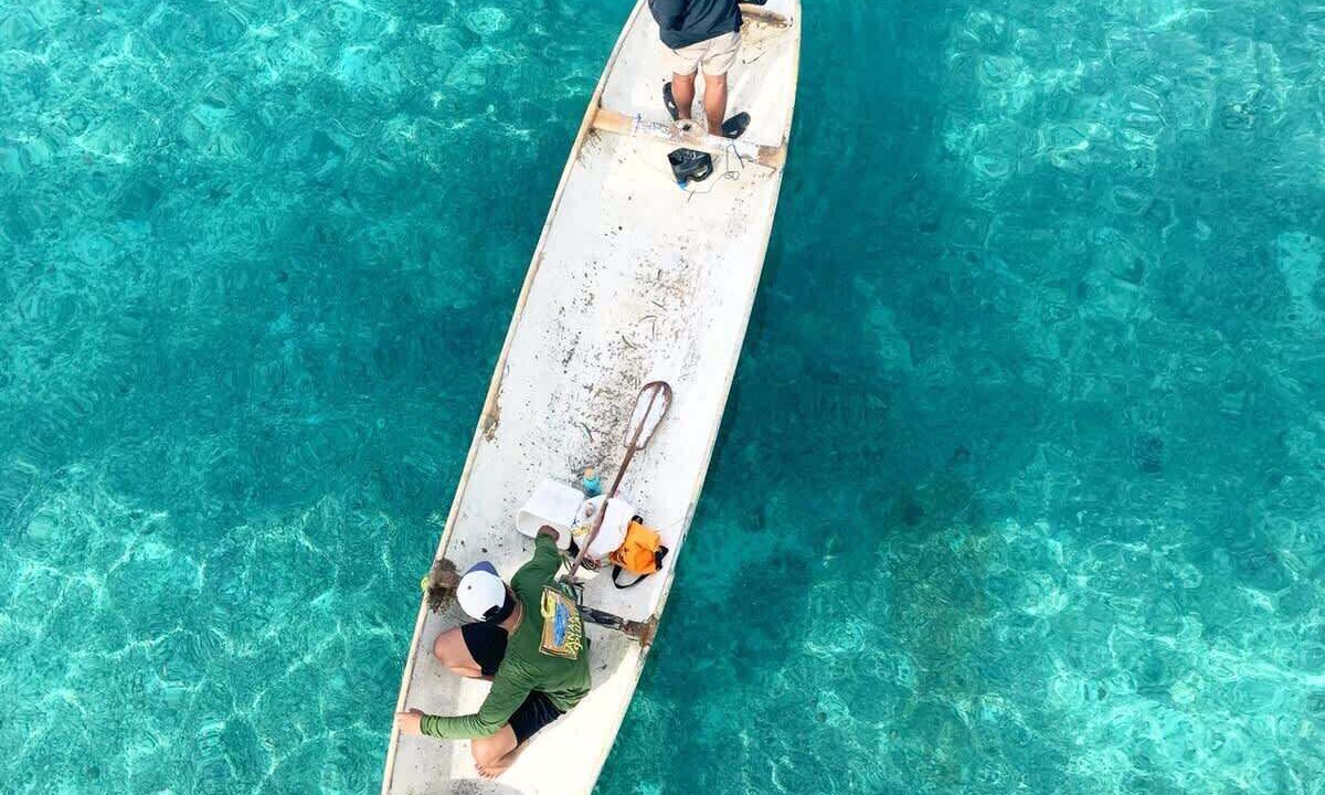 Photo of Others in Mushroom Bay