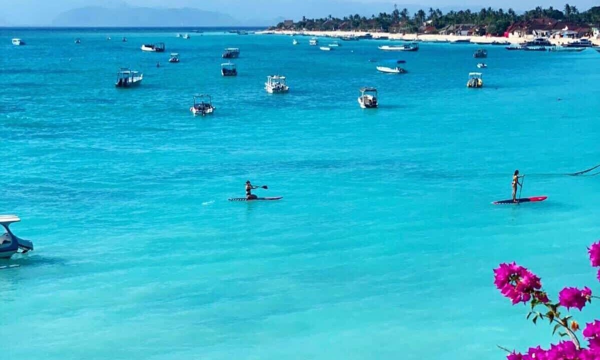 Photo of Others in Mushroom Bay