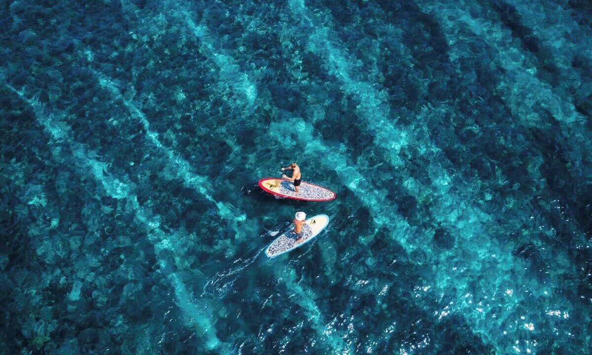 Photo of Others in Mushroom Bay