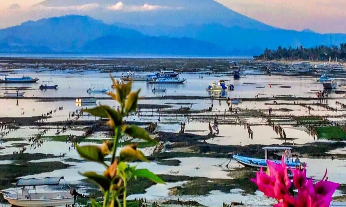 Photo of Others in Mushroom Bay