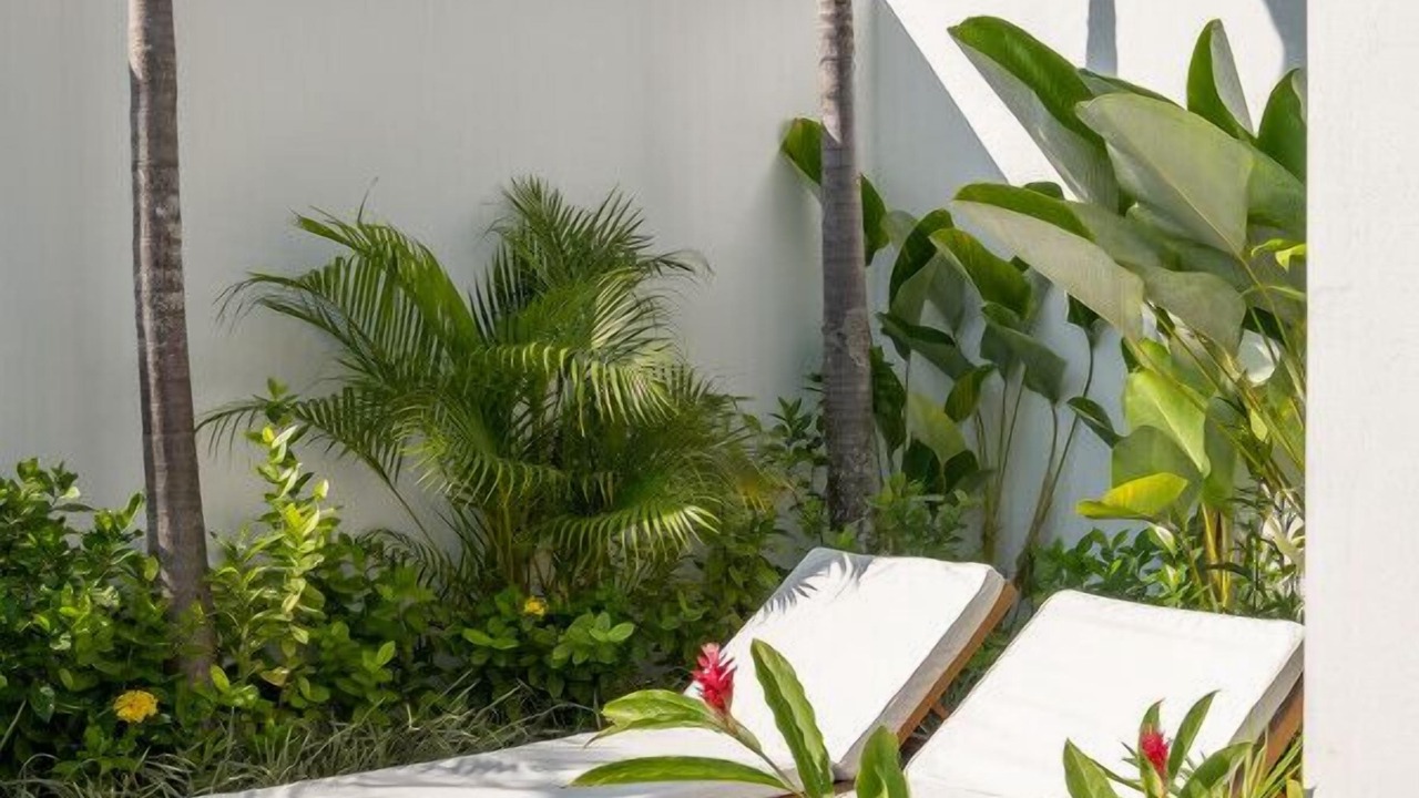 Photo of Outdoor in Pererenan