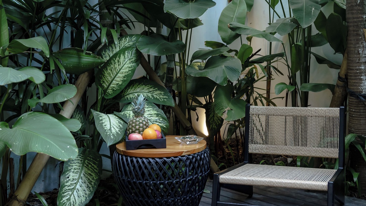 Photo of Patio Balcony in Berawa