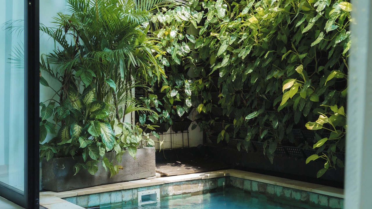 Photo of Outdoor in Umalas