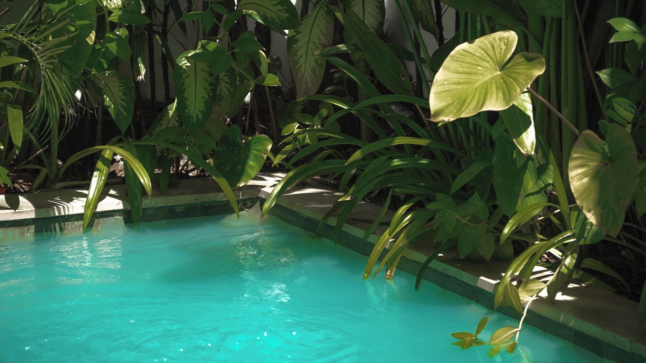 Photo of Outdoor in Umalas