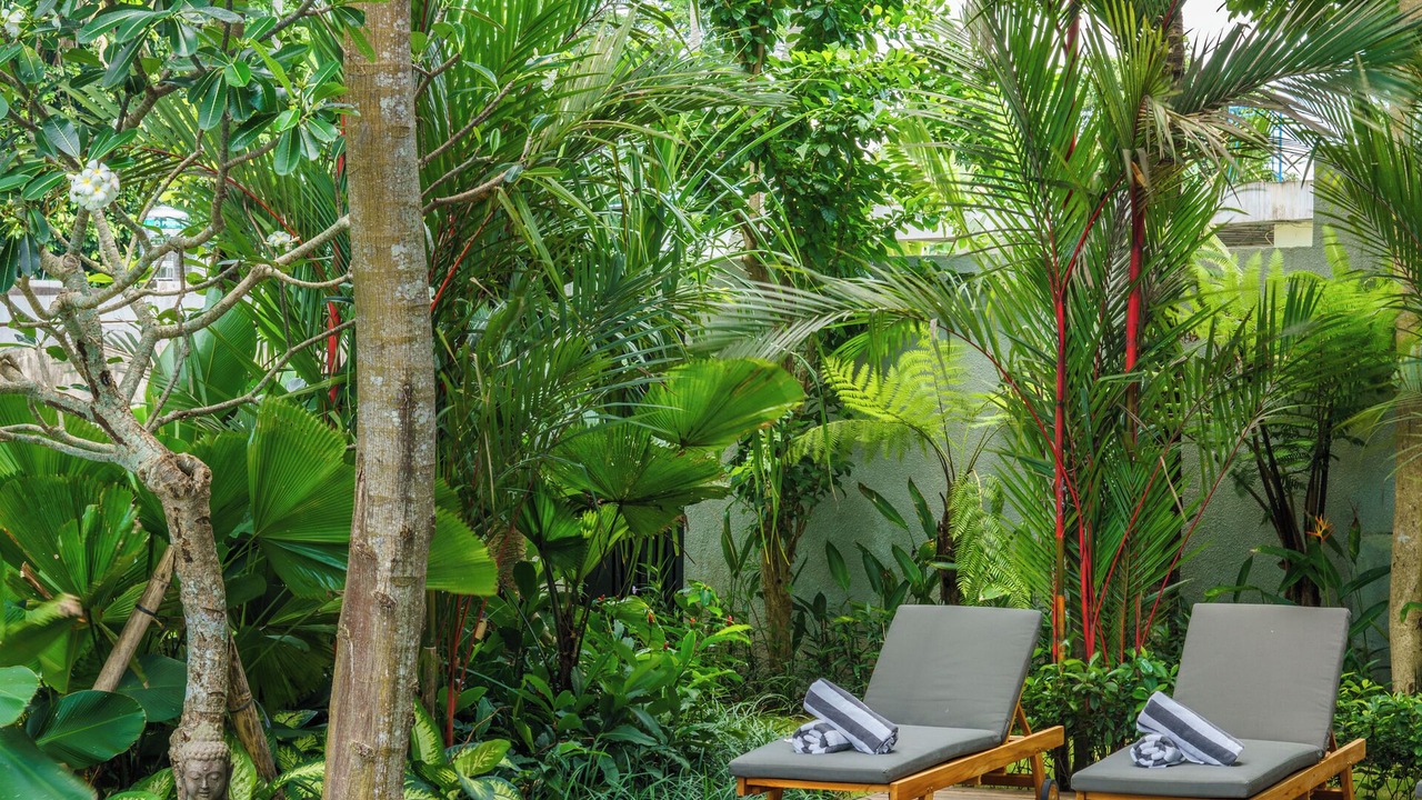 Photo of Outdoor in Seseh