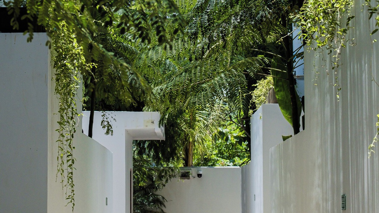 Photo of Outdoor in Pecatu