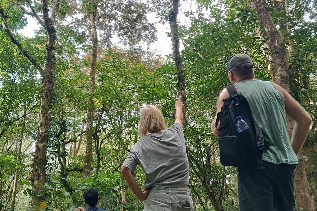 Photo of Others in Tetebatu
