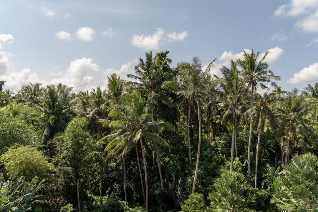 Photo of Others in Pengosekan