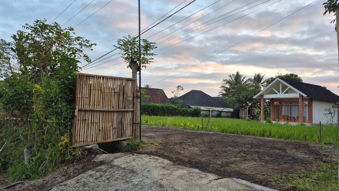 Photo of Others in Tetebatu