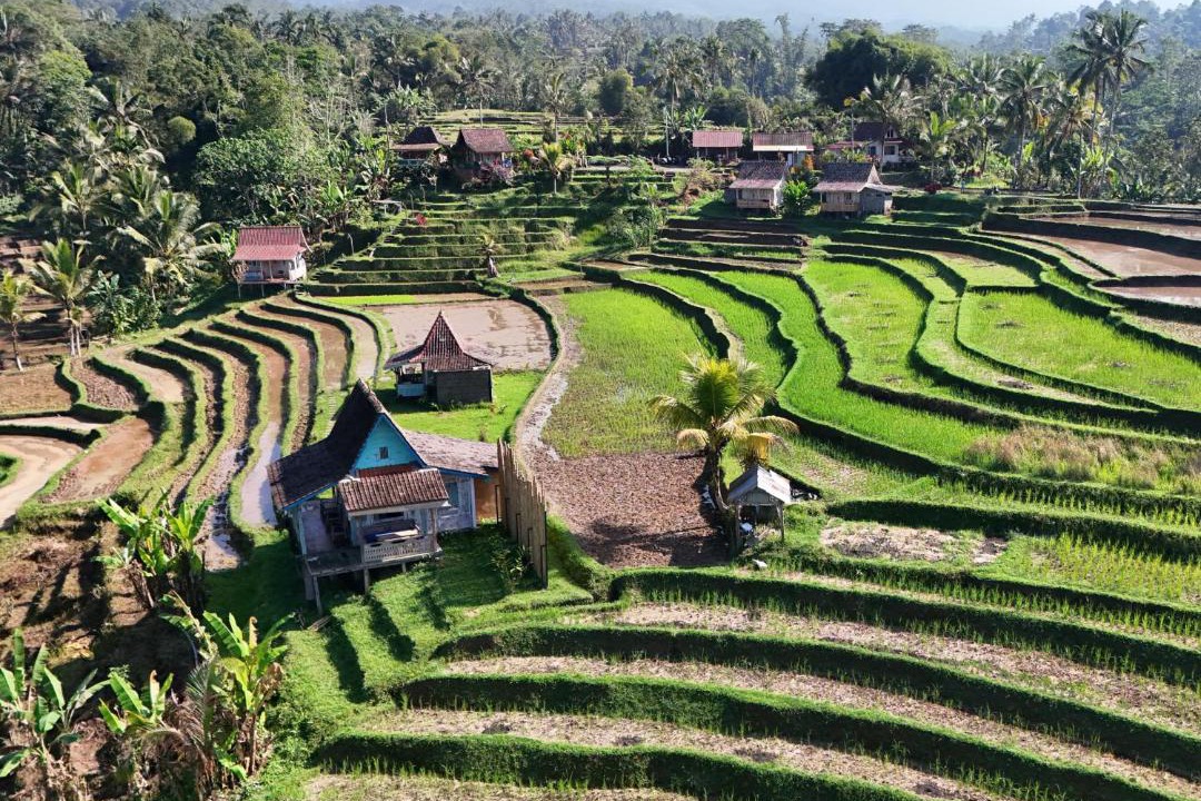 Photo of Others in Wongaya Gede