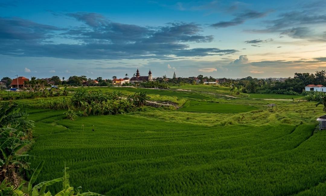 Photo of Others in Babakan