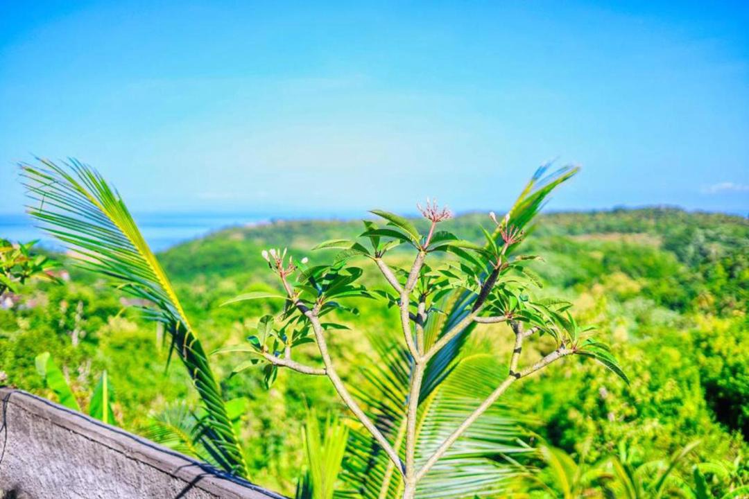 Photo of Others in Penida Island