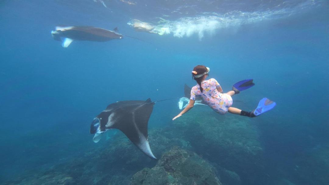 Photo of Others in Penida Island