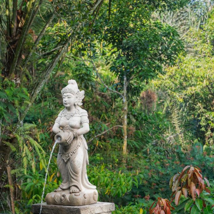 Photo of Others in Taro