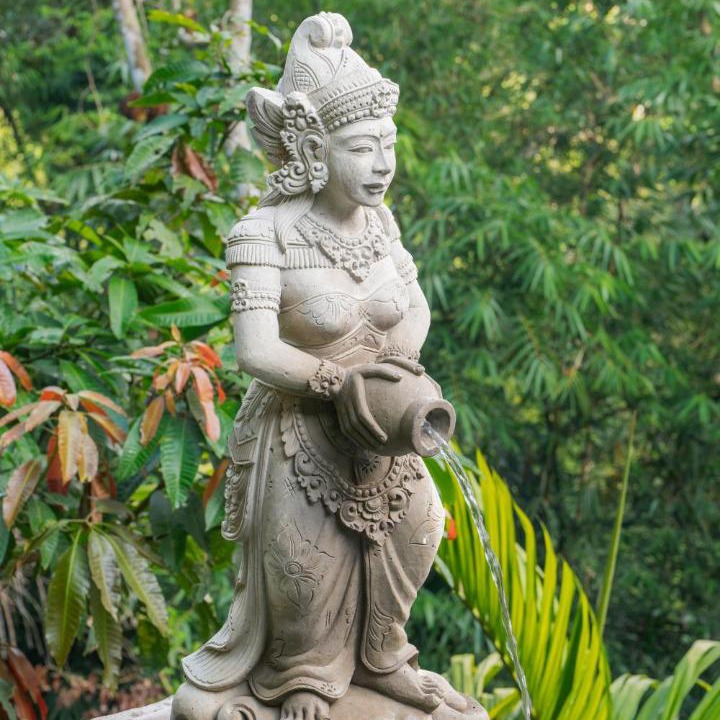 Photo of Others in Taro