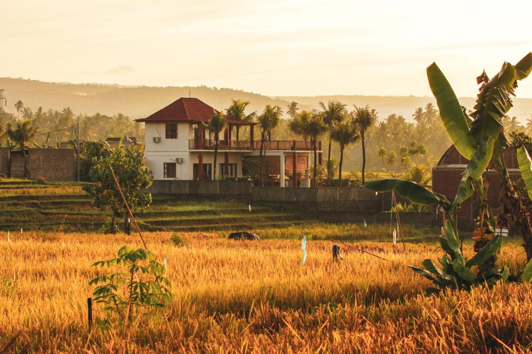 Photo of Others in Mendoyo