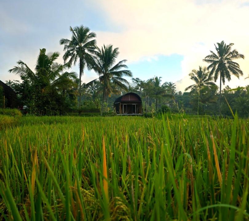 Photo of Others in Tetebatu