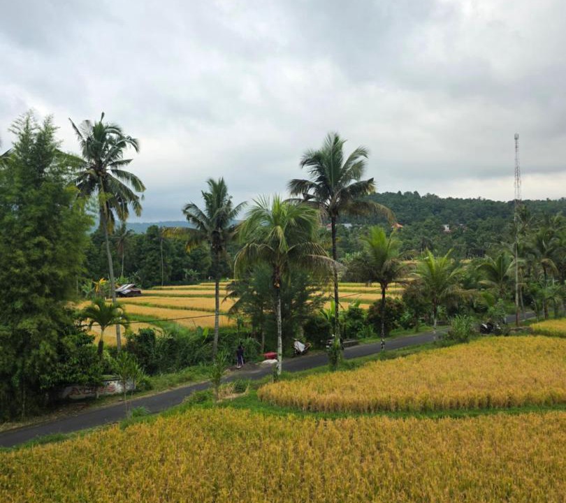 Photo of Others in Munduk
