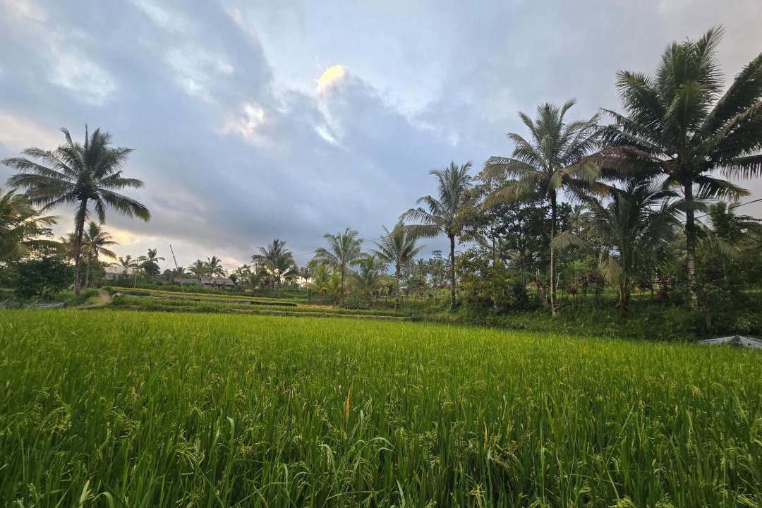 Photo of Others in Tetebatu