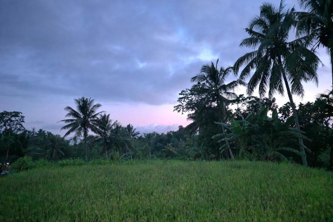 Photo of Others in Tetebatu