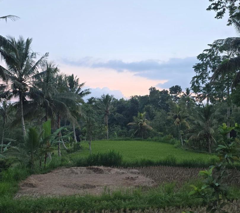 Photo of Others in Tetebatu