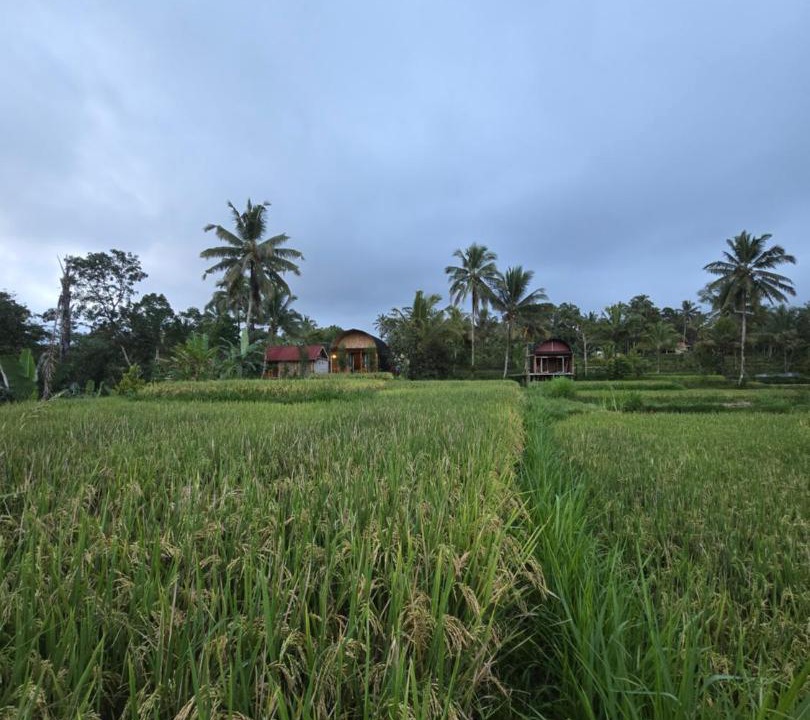 Photo of Others in Tetebatu