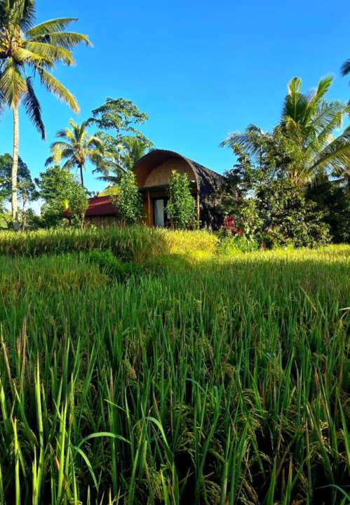 Photo of Others in Tetebatu