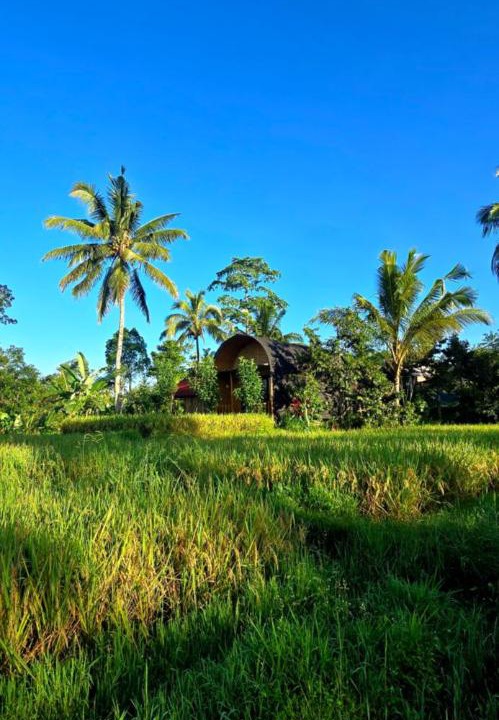 Photo of Others in Tetebatu