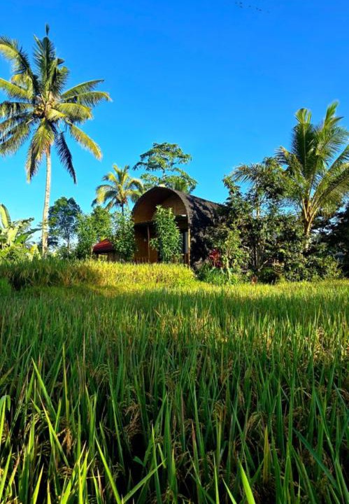 Photo of Others in Tetebatu