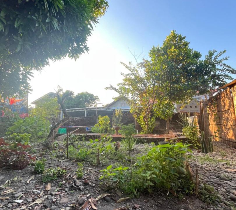 Photo of Others in Timbulharjo