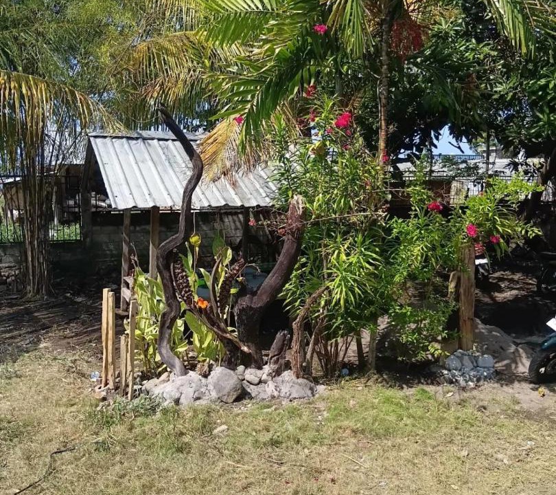 Photo of Others in Labuhan Lombok