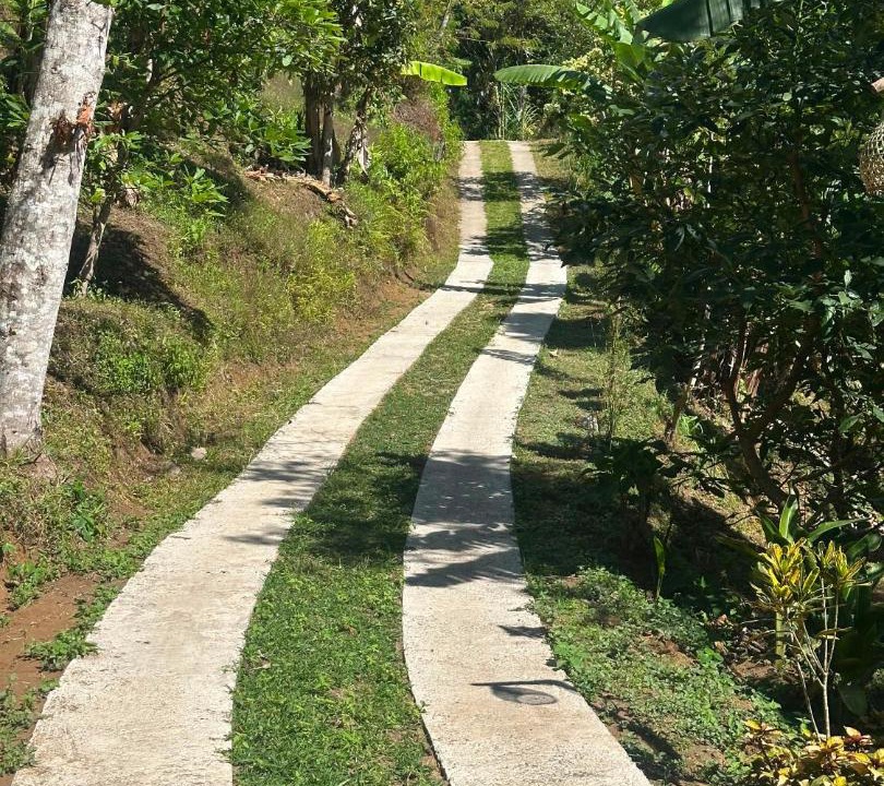 Photo of Others in Munduk