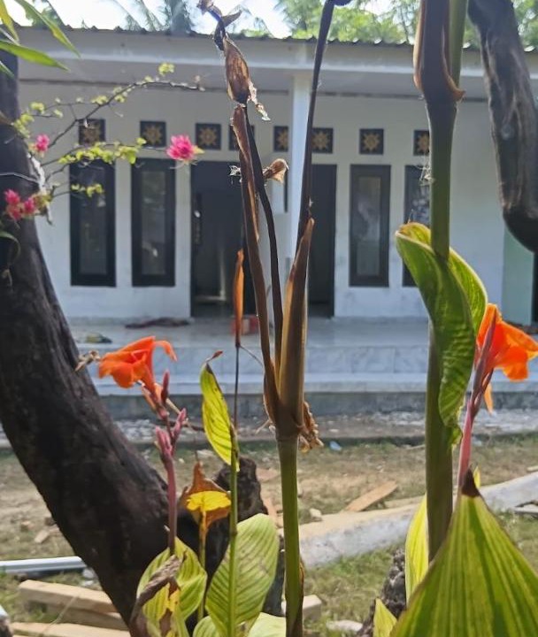 Photo of Others in Labuhan Lombok