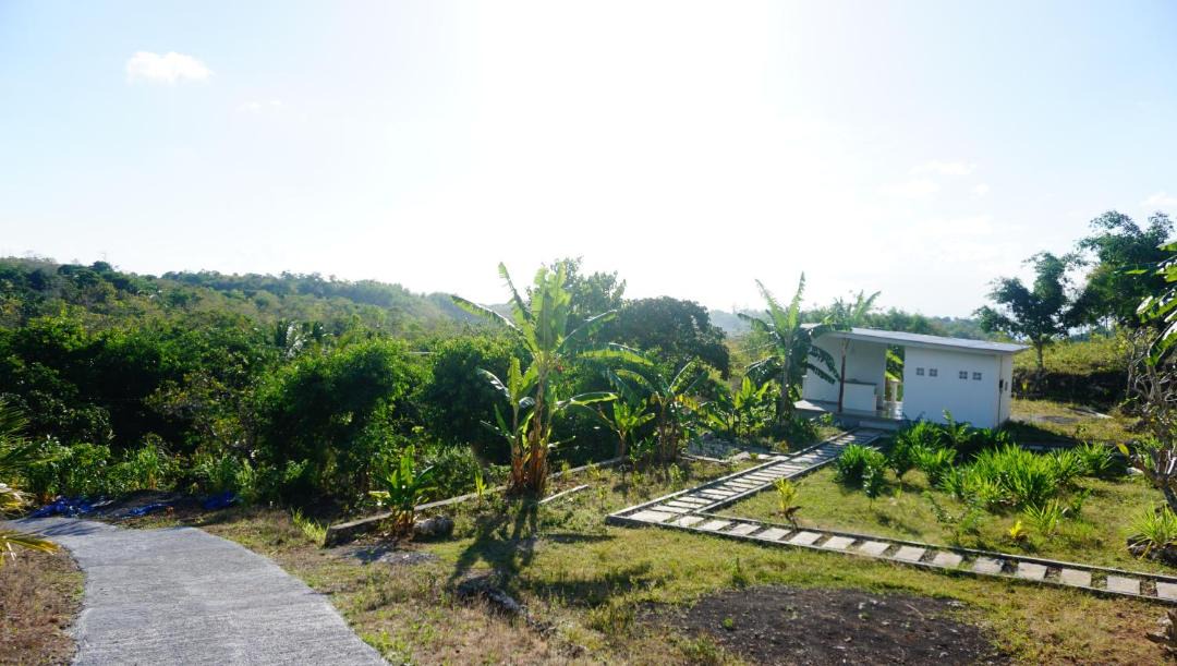 Photo of Others in Botoemadeg