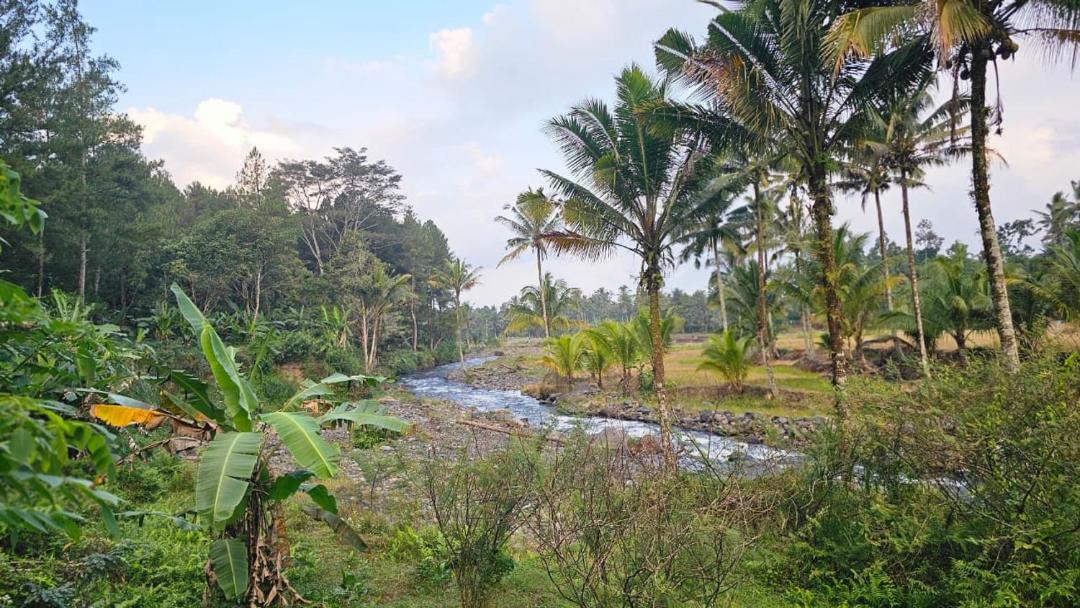 Photo of Others in Kajarharjo
