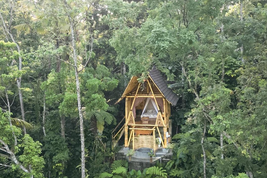 Photo of Others in Susut