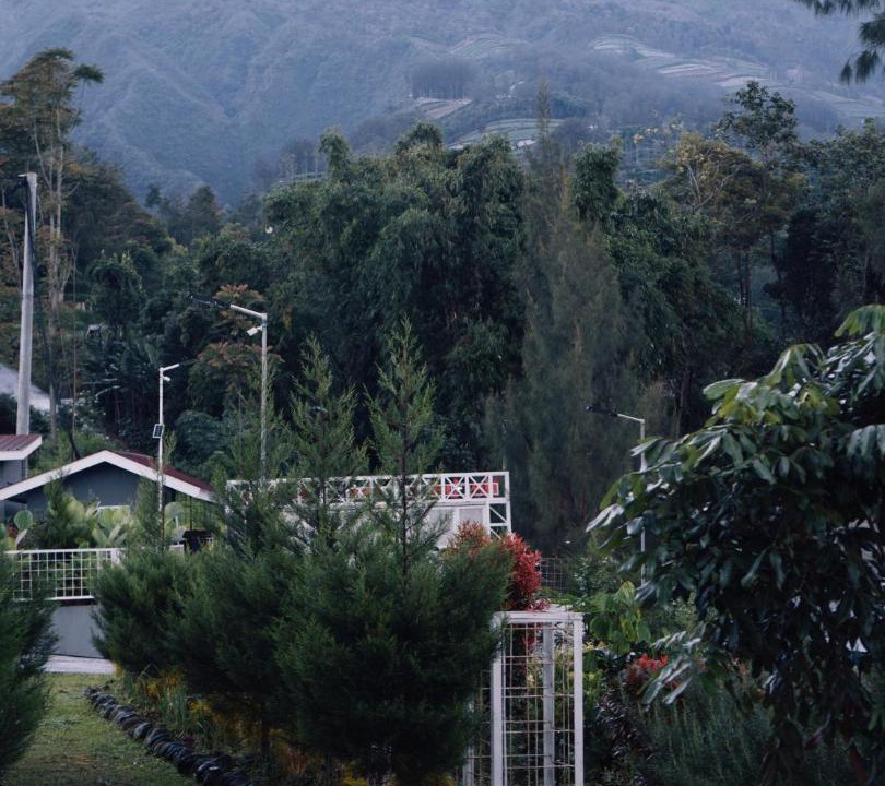 Photo of Others in Banaran