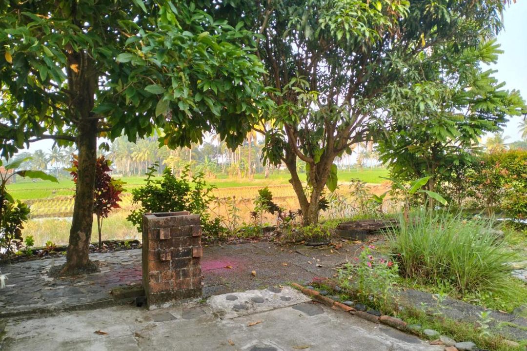 Photo of Others in Cikakak