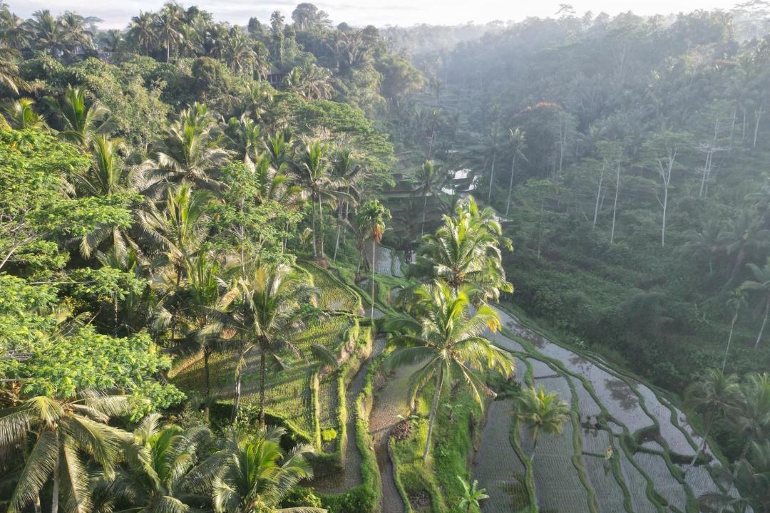 Photo of Others in Payangan