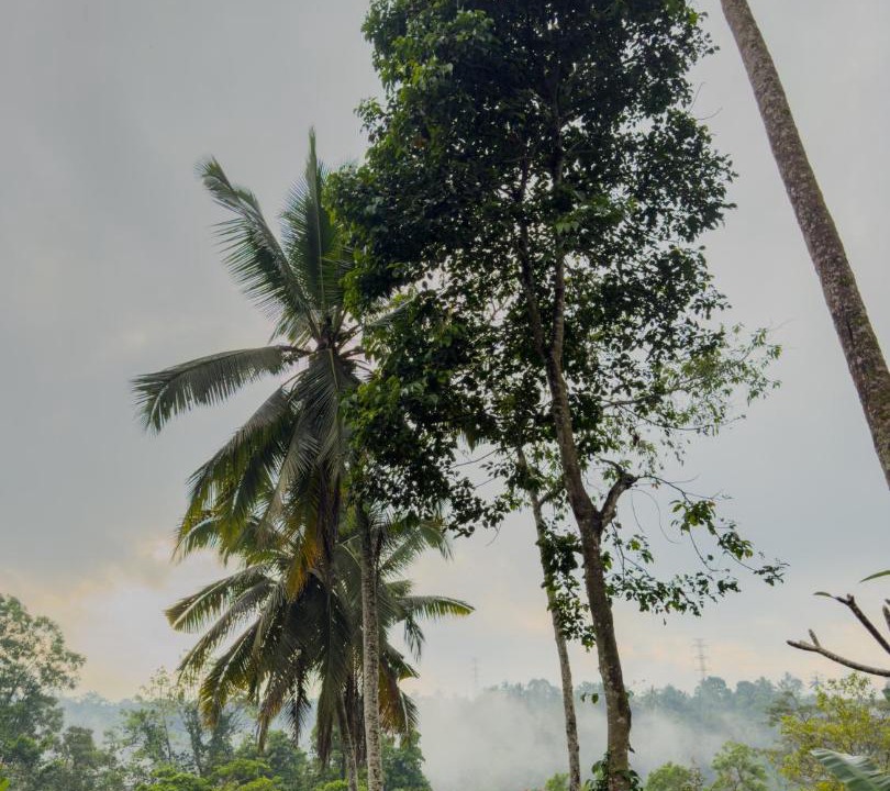 Photo of Others in Carangsari
