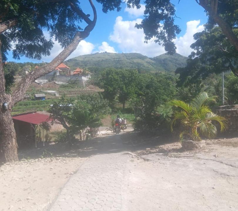 Photo of Others in Penida Island