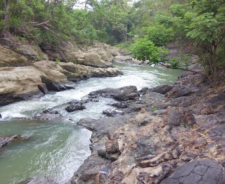 Photo of Others in Timbulharjo